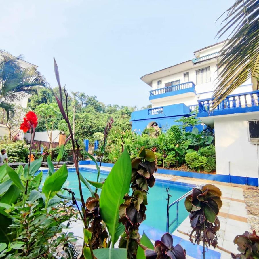 Amazing Hilltop 4 Bhk Villa With Private Pool Near Candolim Eksteriør bilde