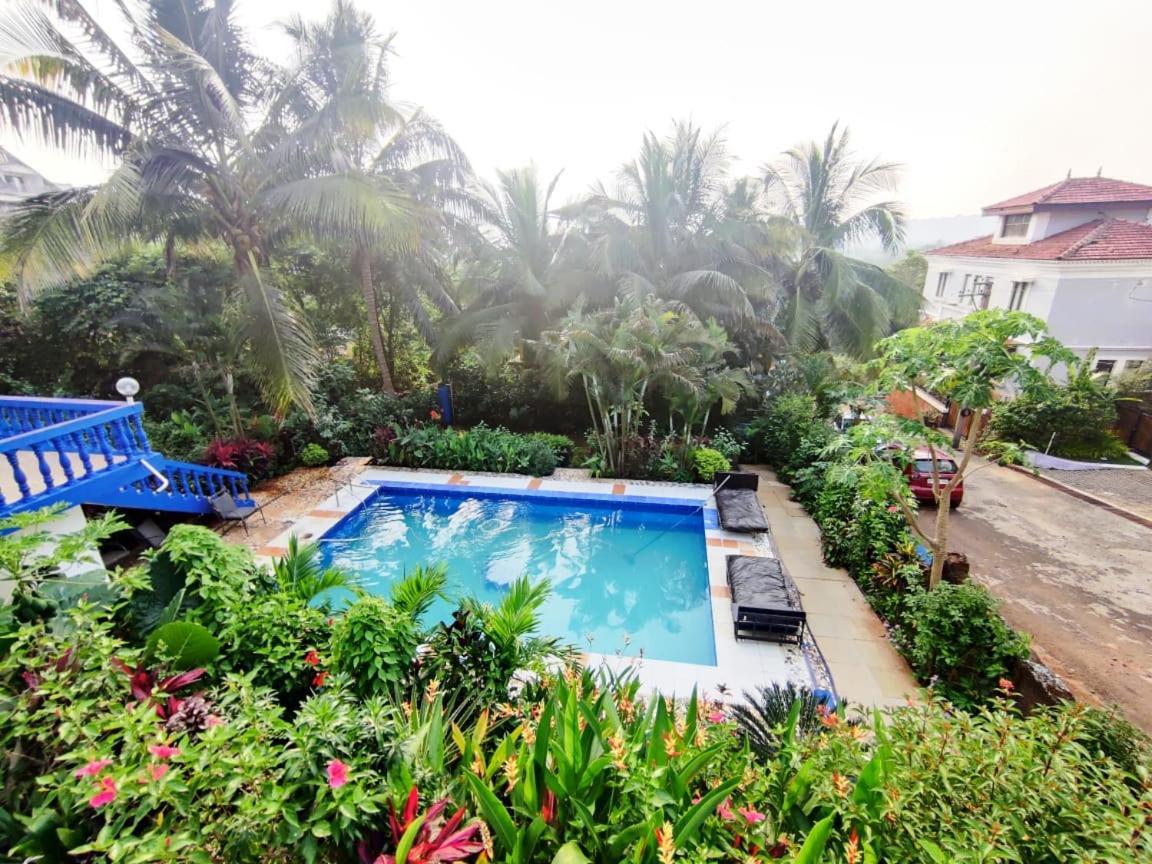 Amazing Hilltop 4 Bhk Villa With Private Pool Near Candolim Eksteriør bilde